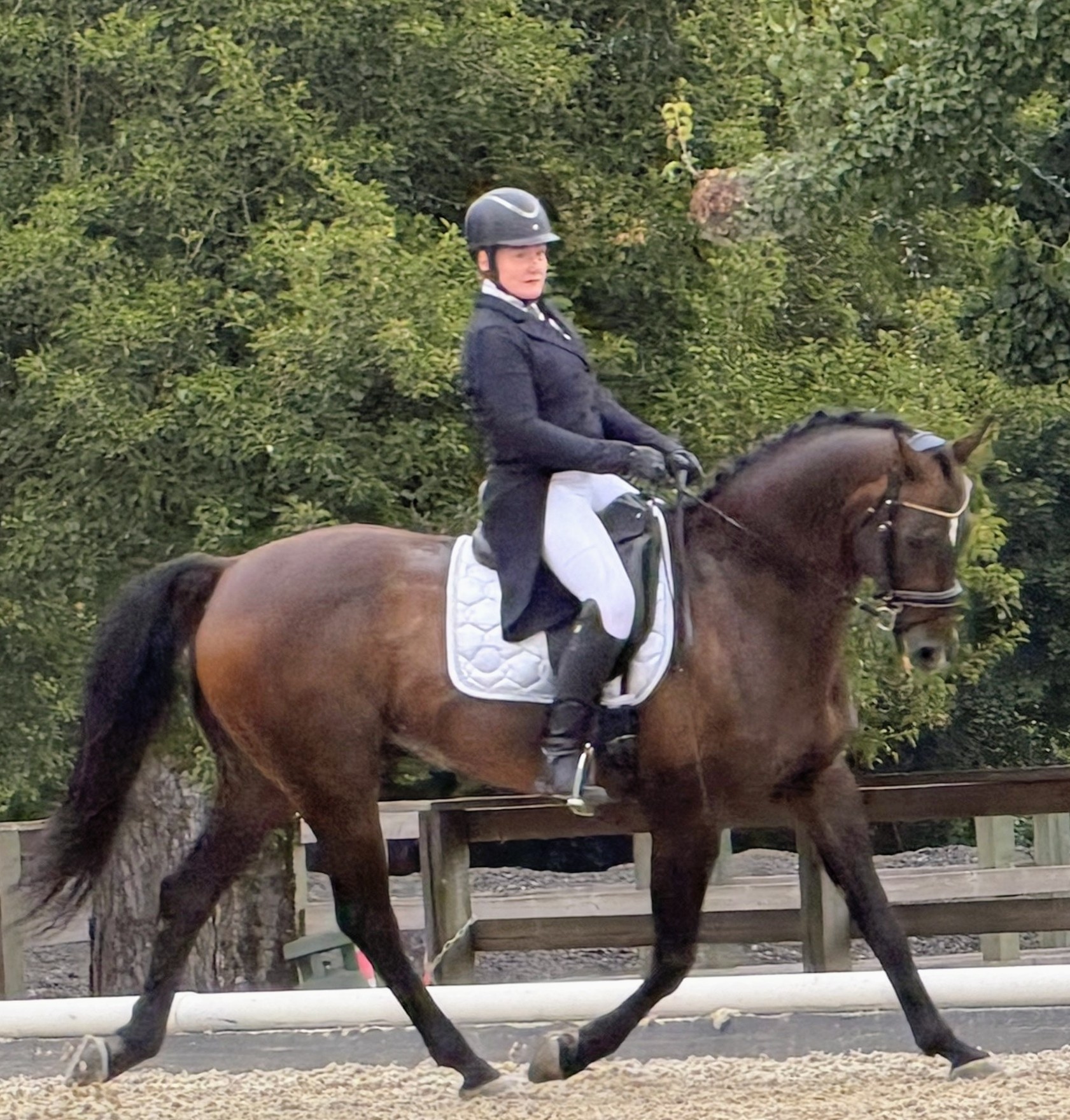 Ellen Tillman schooling a dressage horse