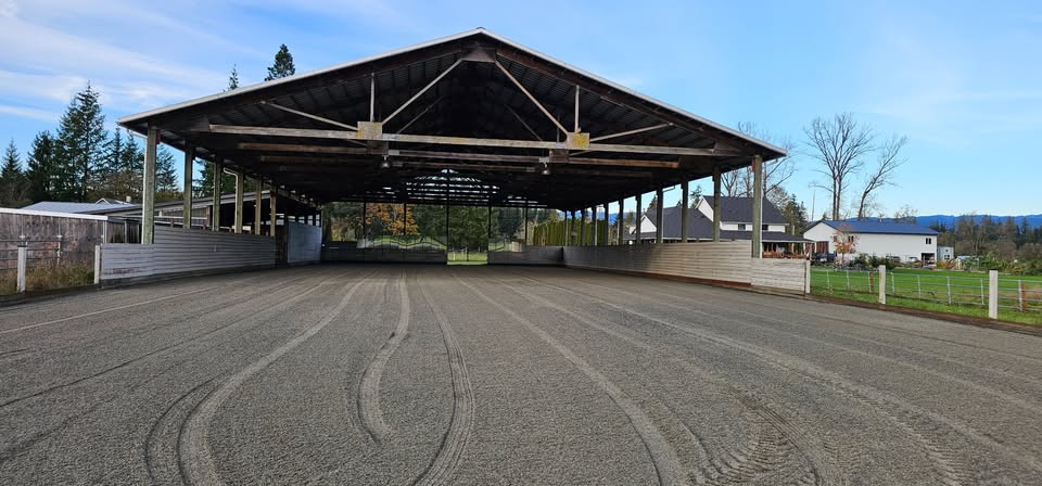 Horse at Eireann Equestrian in Monroe Washington