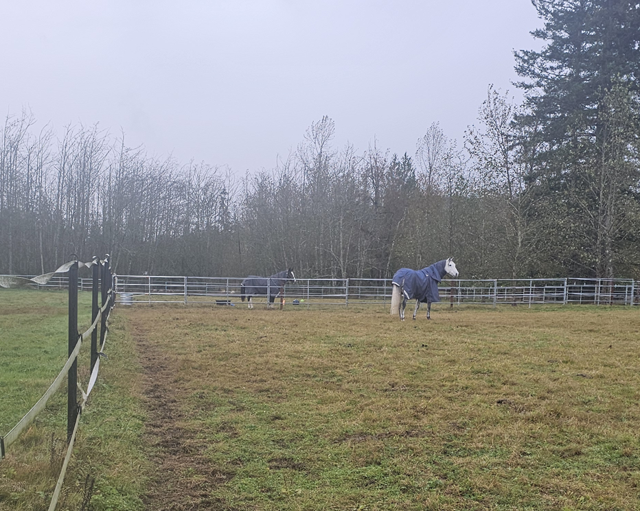 Seasonal pasture turnout fields